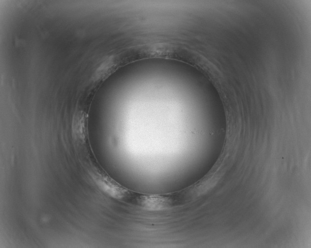 X0000078880336200611201417