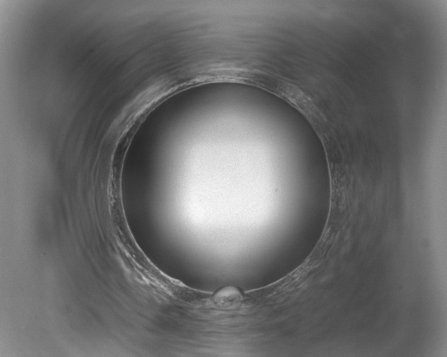 X0000078880338200611201416