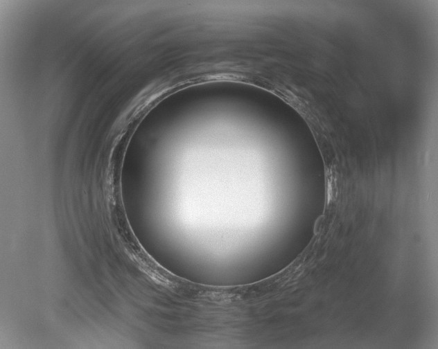 X0000078880339200611201416