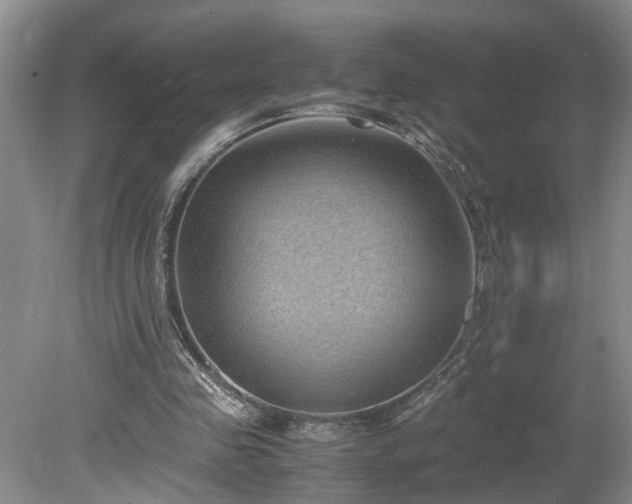 X0000078880341200611201416