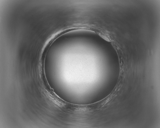 X0000078880342200611201416