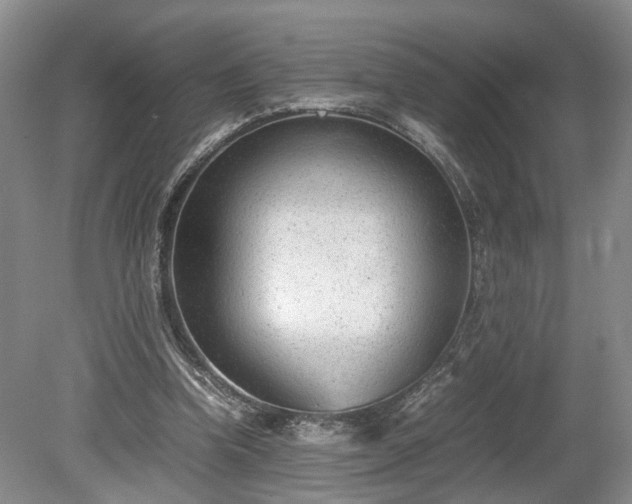 X0000078880346200611201416