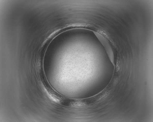 X0000078880348200611201416