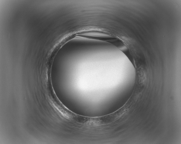 X0000078880350200611201416