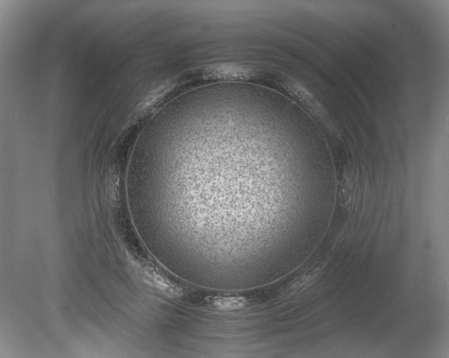 X0000078880355200611201416