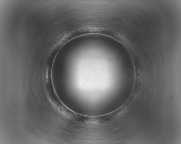 X0000078880358200611201416