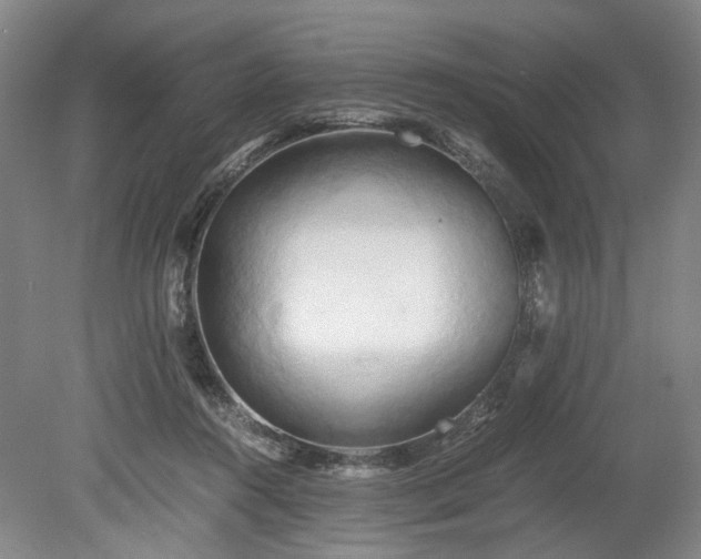 X0000078880360200611201417