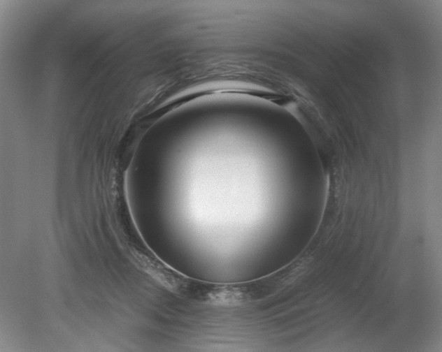 X0000078880362200611201417
