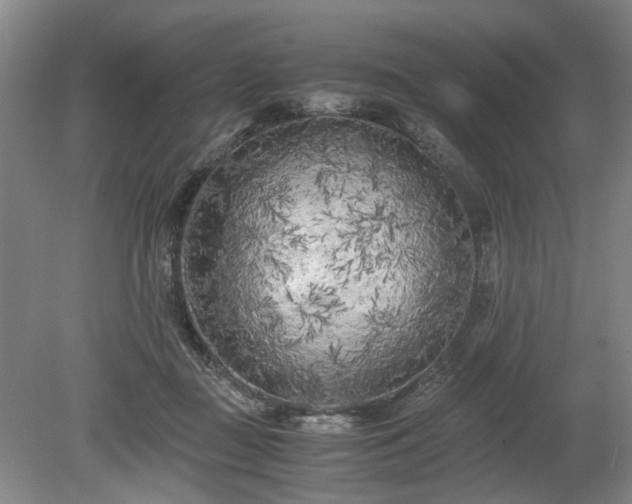 X0000078880363200611201417