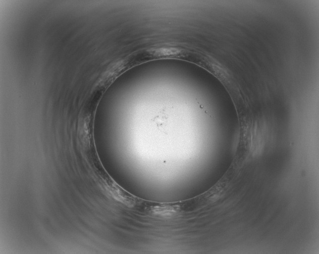 X0000078880373200611201417