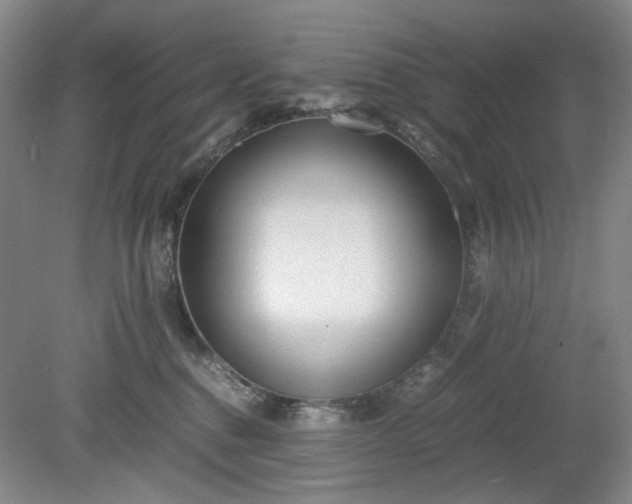 X0000078880376200611201417
