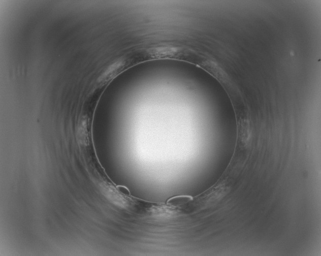 X0000078880378200611201417