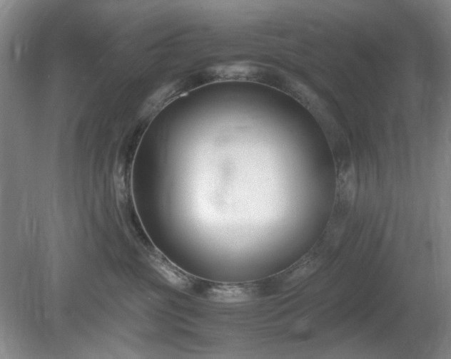 X0000078880381200611201417