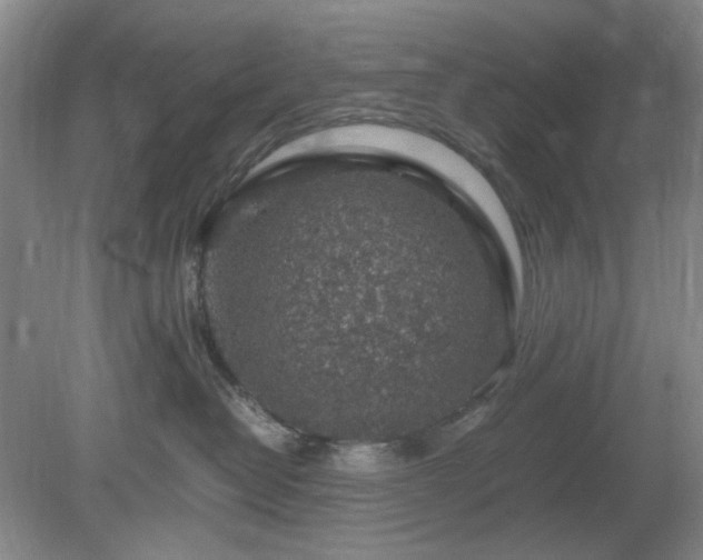 X0000078880382200611201417