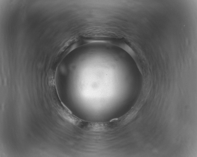 X0000078880384200611201417