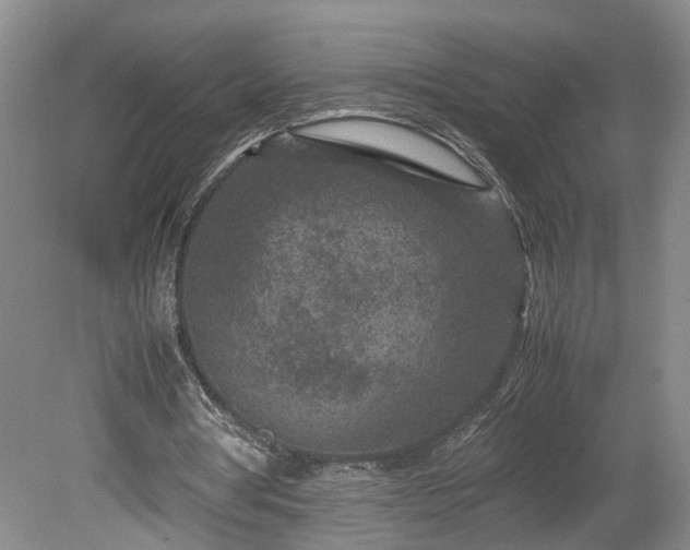 X0000078880386200611201416