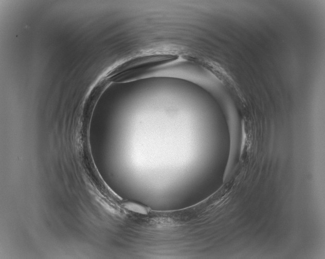 X0000078880392200611201416