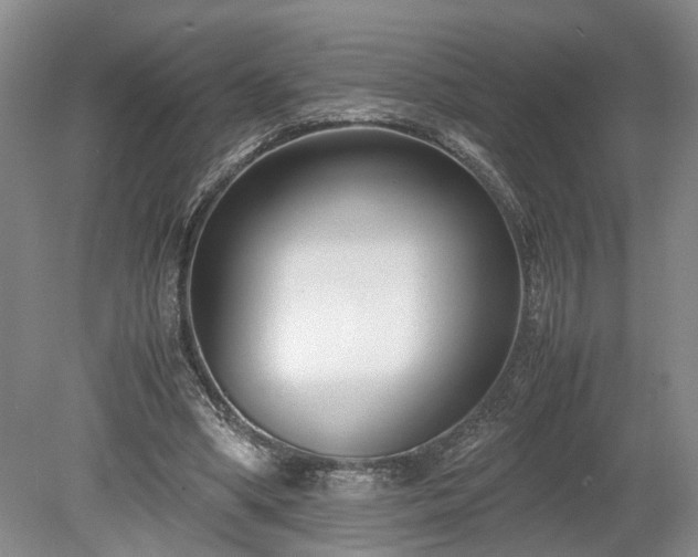 X0000078880394200611201416