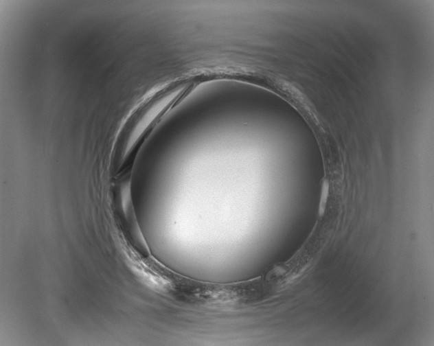 X0000078880395200611201416