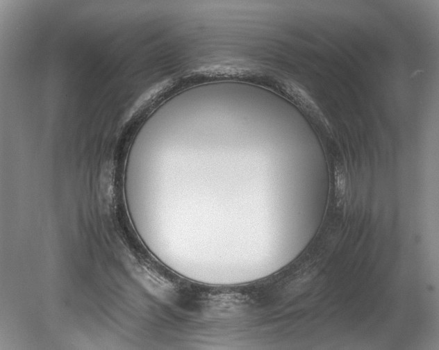 X0000078880396200611201416