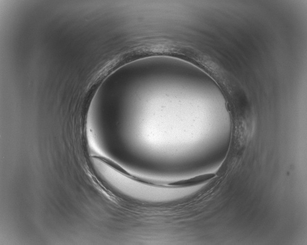 X0000078880397200611201416