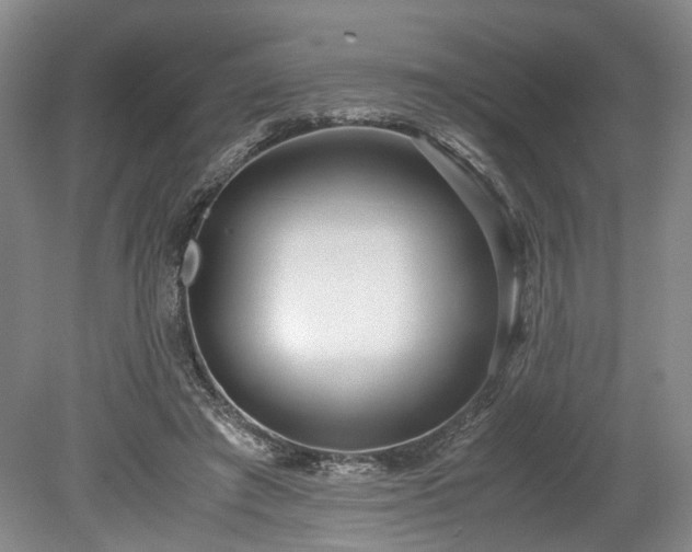 X0000078880401200611201416