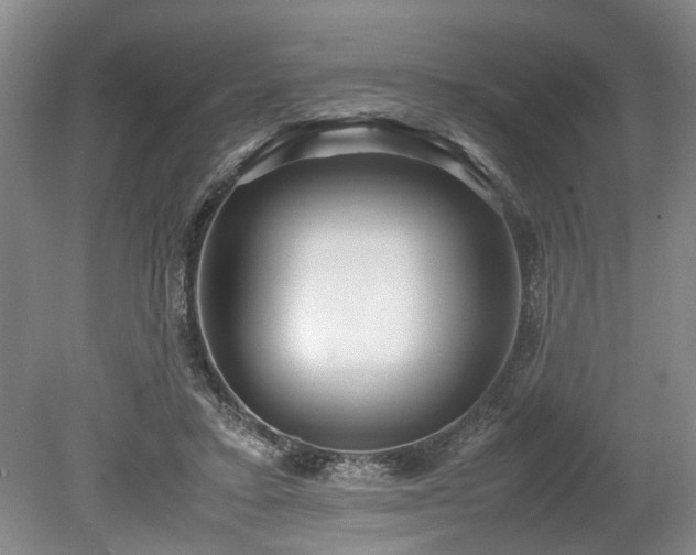 X0000078880403200611201416