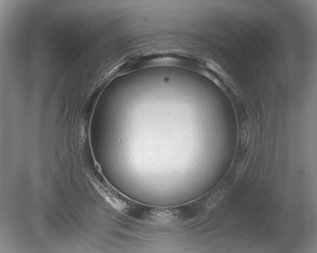 X0000078880405200611201416