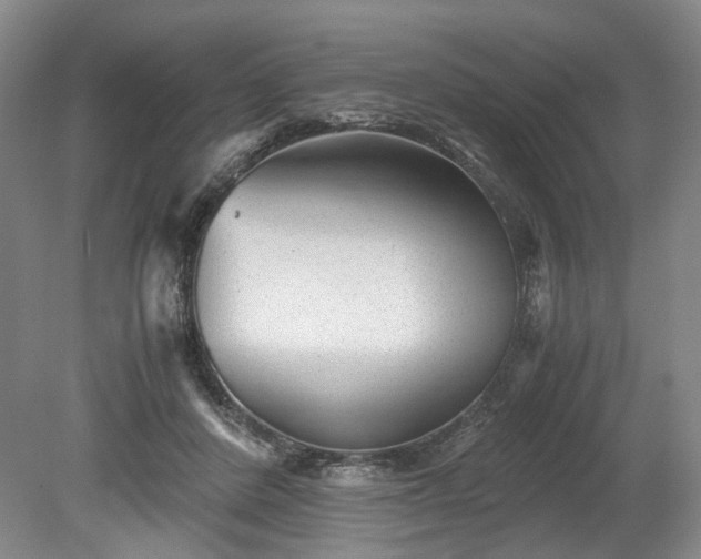 X0000078880408200611201416