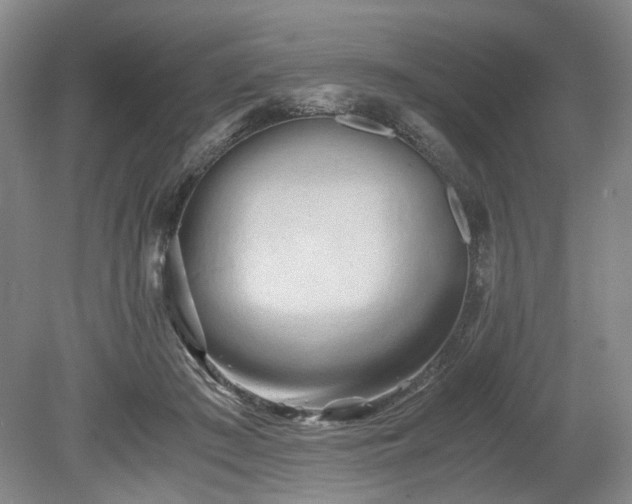 X0000078880409200611201416