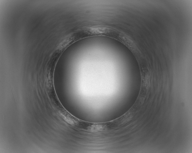 X0000078880418200611201416