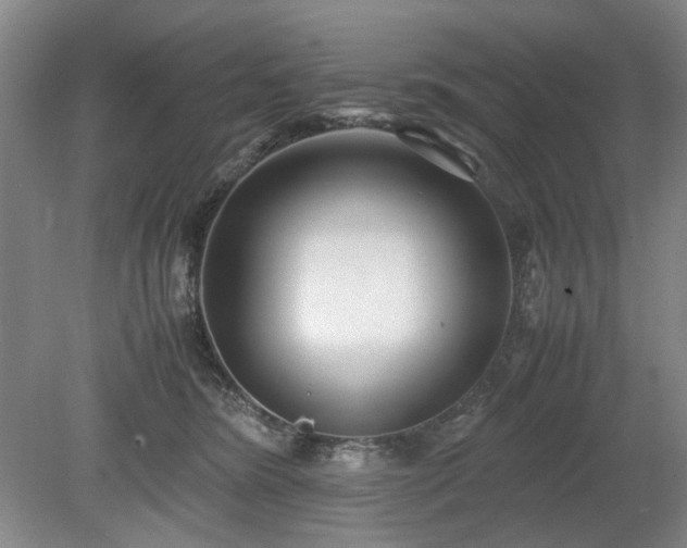 X0000078880420200611201416