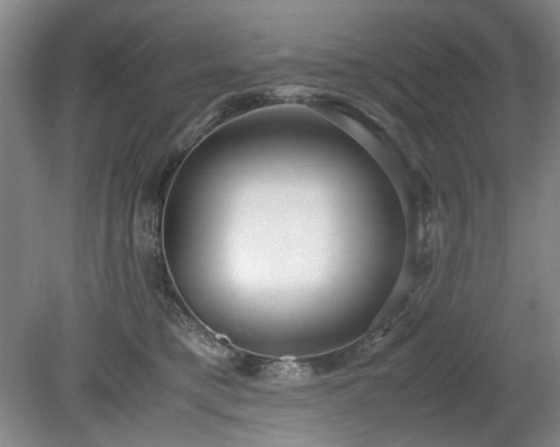X0000078880421200611201416