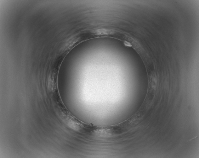 X0000078880422200611201415