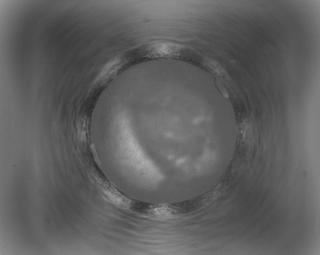 X0000078880423200611201415