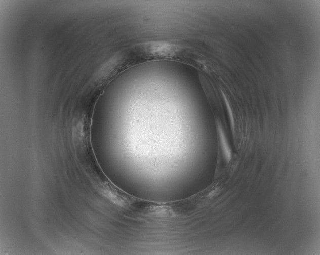 X0000078880424200611201415