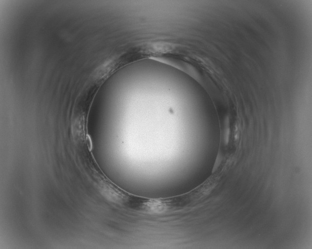 X0000078880425200611201415