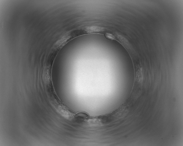 X0000078880426200611201415