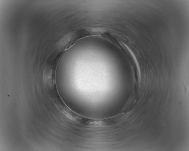X0000078880428200611201415