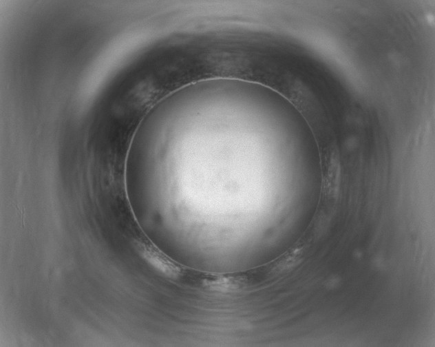 X0000078880430200611201415