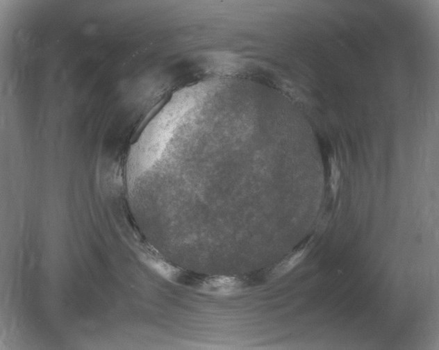 X0000078880431200611201415