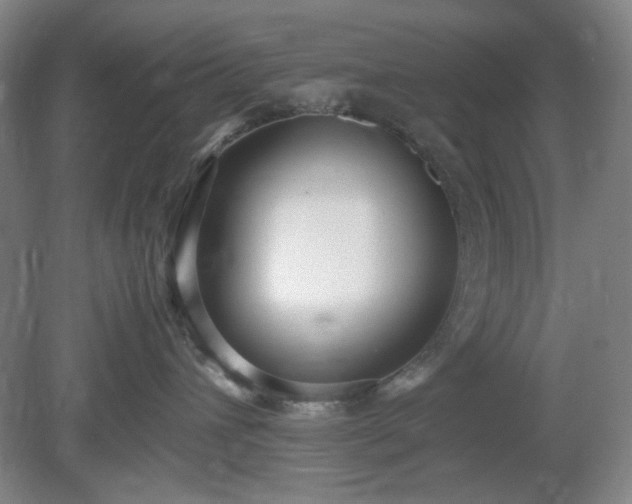 X0000078880432200611201415