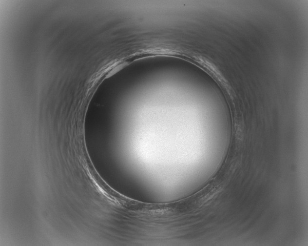 X0000078880433200611201415