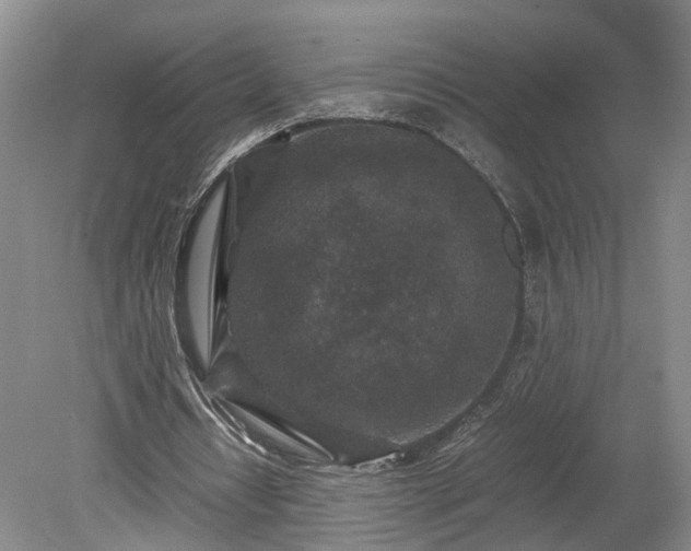 X0000078880434200611201415