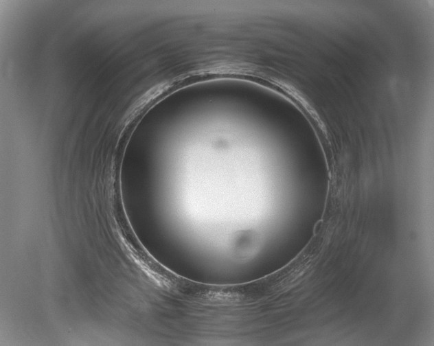 X0000078880437200611201415