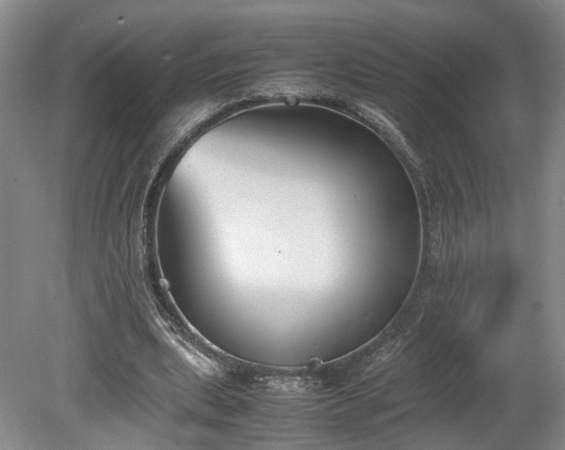 X0000078880439200611201415