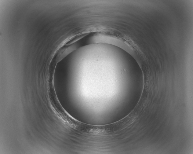 X0000078880440200611201415
