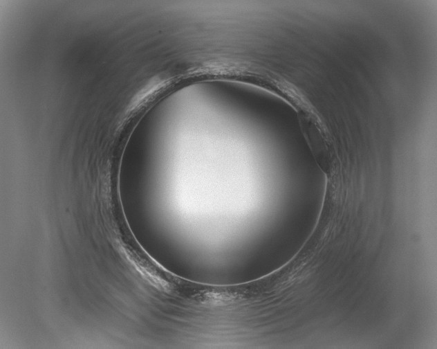 X0000078880442200611201415