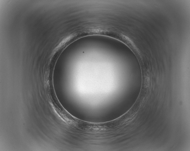 X0000078880443200611201415