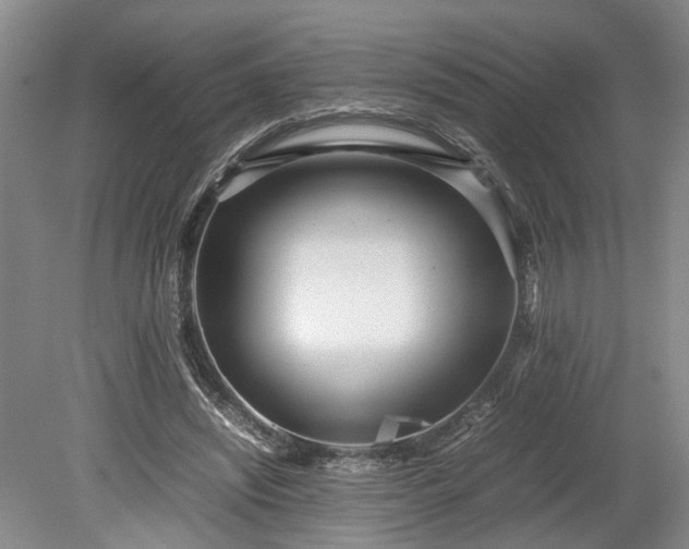 X0000078880444200611201415
